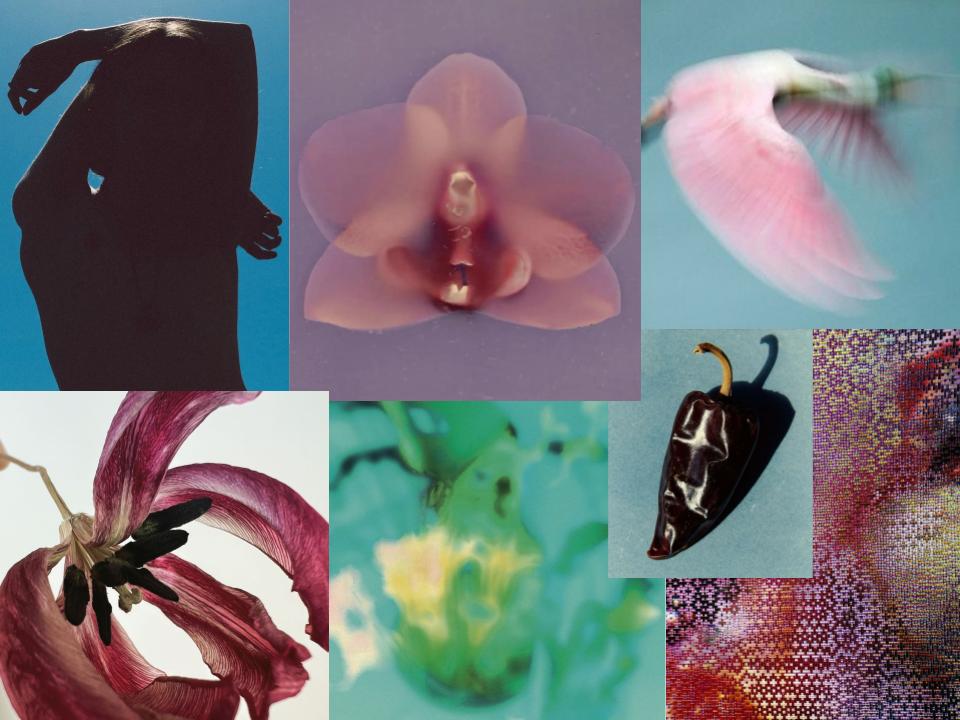  collection moodboard